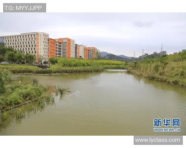 广州排球队区域防守创新之路探索与实践分析